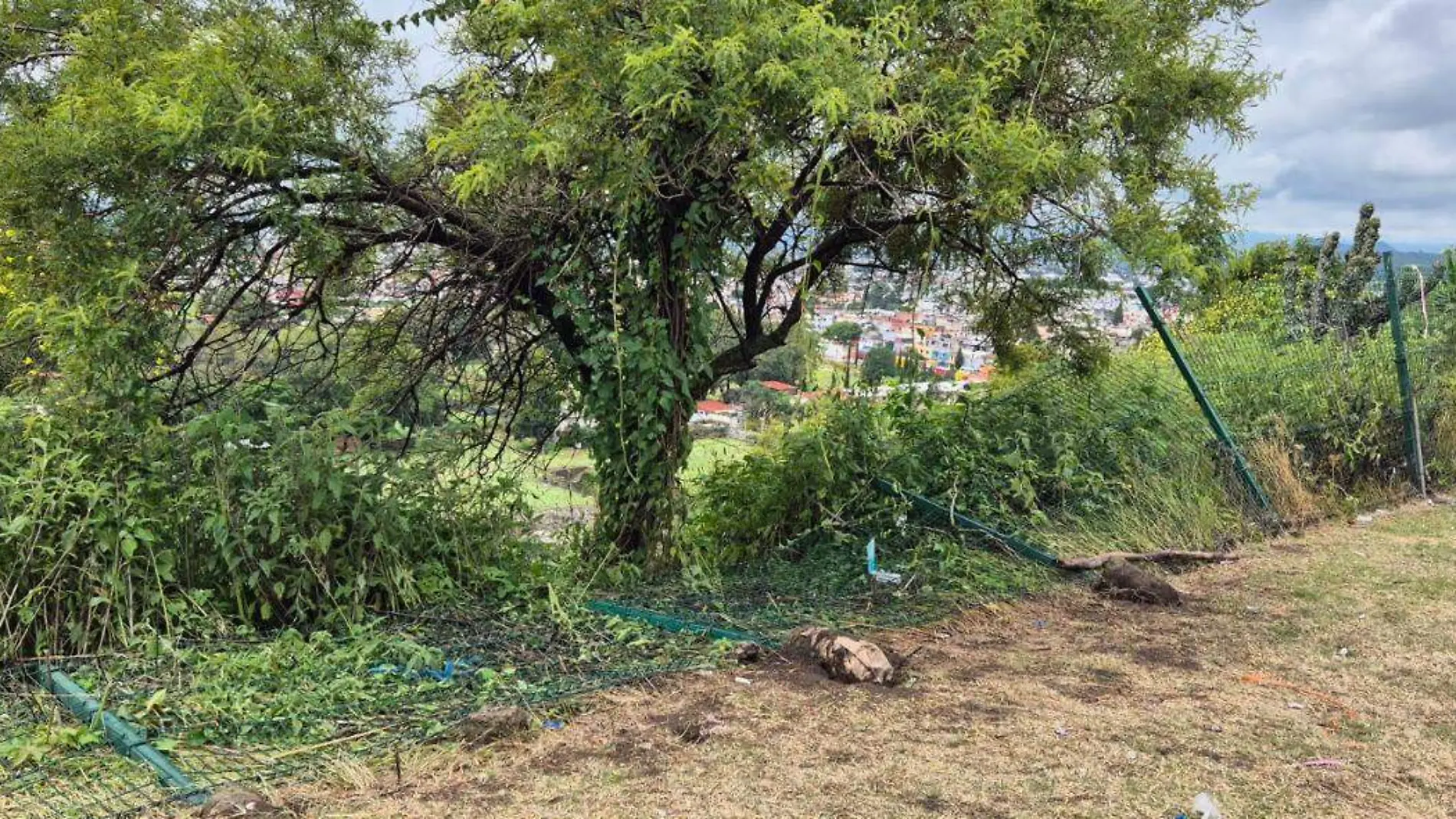 Lluvias afectaron paneles solares de la zona arqueológica de Cholula